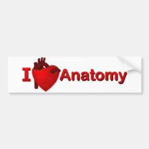 Anatomie I <3 Autosticker