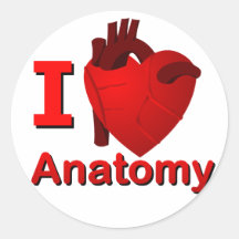 Anatomie I <3 Runde Sticker