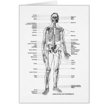 ANATOMIE-SKELETON T-SHIRTS UND GESCHENKE GRUßKARTE