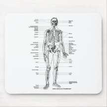 ANATOMIE-SKELETON T-SHIRTS UND GESCHENKE MOUSEPADS