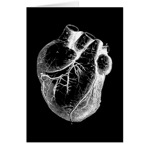 Anatomisch korrektes Herz Grußkarte