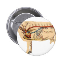 Anatomische niedliche Kuh Button