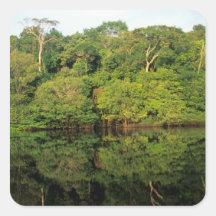 Anavilhanas, Amazonas, Brasilien. Regenwaldfluß Sticker