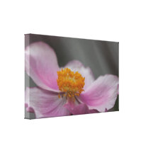 Anemone Galerie Faltleinwand
