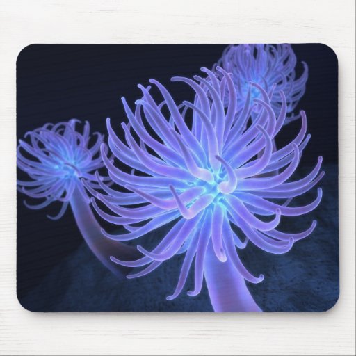 Anemonen Mousepad