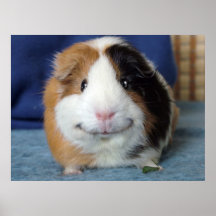 Angeelo Plakatdruck