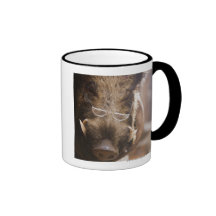 Angefüllte wilder Eber-tragende Gläser draußen Tee Tasse