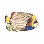 Angelfish Photo Skulpturen