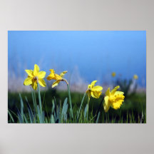 Anordnung Posterdruck