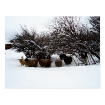 Ansammlung die Menge im Schnee Postkarten