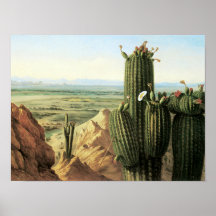 Ansicht von Maricopa Berg nahe dem Fluss Gila Posterdruck