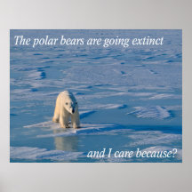 Anti-Polare Bären Plakate
