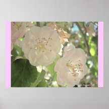 Antike Blüten Poster