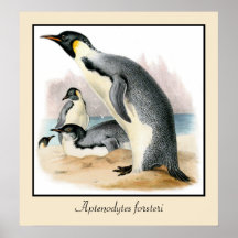 Antiker Vintager zeichnender KaiserPenguin Poster