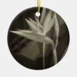 Antiqued Paradiesvogel 10 Weihnachtsbaum Ornamente