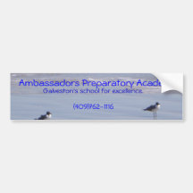 APA Strand Auto Sticker