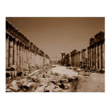 Apamea Postkarte