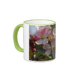 Apfelblüte Tasse