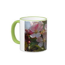 Apfelblüte Tasse