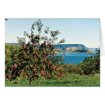 Apfelgarten mit Kap Blomindon in Hintergrund, N Karten