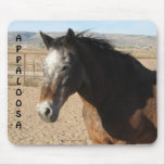 Appaloosa-gepunktetes Pferd Mousepad