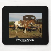 Appaloosa-motivierend Geschenke Mousepad