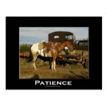Appaloosa-Pferdepferdeartige motivierend Kunst-Kar Postkarten