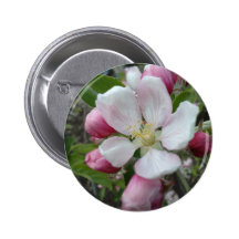 Apple blühen anstecknadelbutton