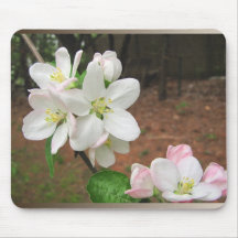 Apple-Blüten ~ mousepad