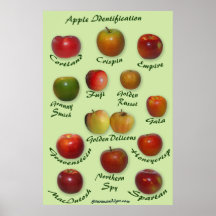 Apple-Identifizierung Plakat
