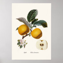 Apple Posterdrucke