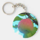 Apple Schlüsselband