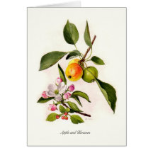 Apple und Blüte Karten