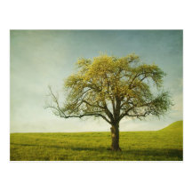 appletree postkarten