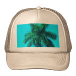 Aqua-Palme Trucker Mütze