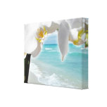 Aqua-Strand-Orchidee Gespannter Galerie Druck