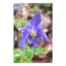Aquilegia Personalisiertes Druckpapier