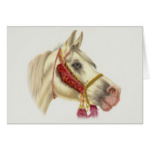 Arabischer Stallion Grußkarten