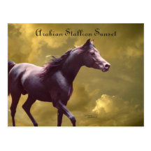 Arabischer Stallions-stürmische Sonnenuntergang-Po