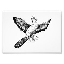Archaeopteryx Photodrucke