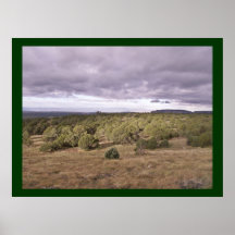 Arizona-Art das come'n    des Sturms eine Plakatdrucke