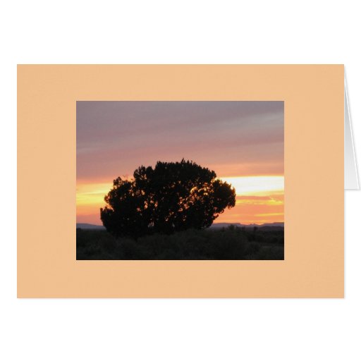 Arizona malte Wüsten-Sonnenuntergang-Foto-Mitteilu