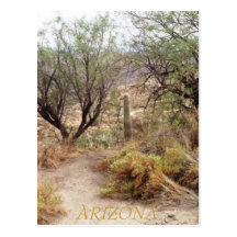 ARIZONA POSTKARTEN