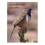 Arizona-Staats-Vogel - Kaktus-Zaunkönig-Postkarte