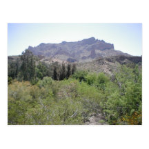 Arizona-Wüste Postkarten