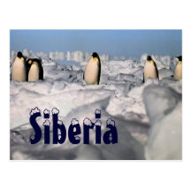 Arktische Winterpostkarte Sibiriens