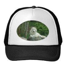 Arktische Wolf-Baseball-Mütze