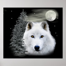 arktischer Schneewolf Plakatdruck