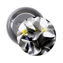 Artistic Plumeria Flowers Button