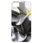 Artistic Plumeria Flowers iPhone 5 Covers
